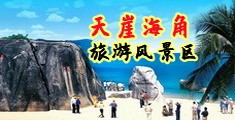 wwwww日本免费黄色网站海南三亚-天崖海角旅游风景区