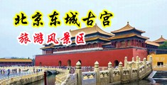 骚咪咪中国北京-东城古宫旅游风景区